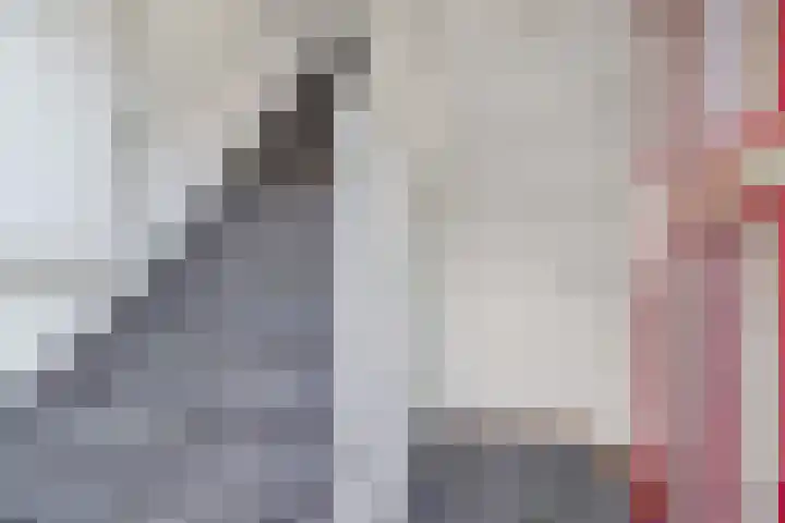 Nachtegaalstraat 5 Wolvega thumbnail 5
