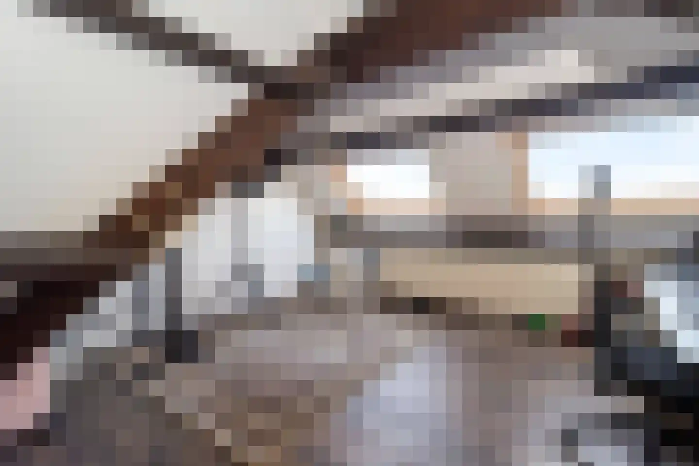 Nachtegaalstraat 52 Geleen thumbnail 27
