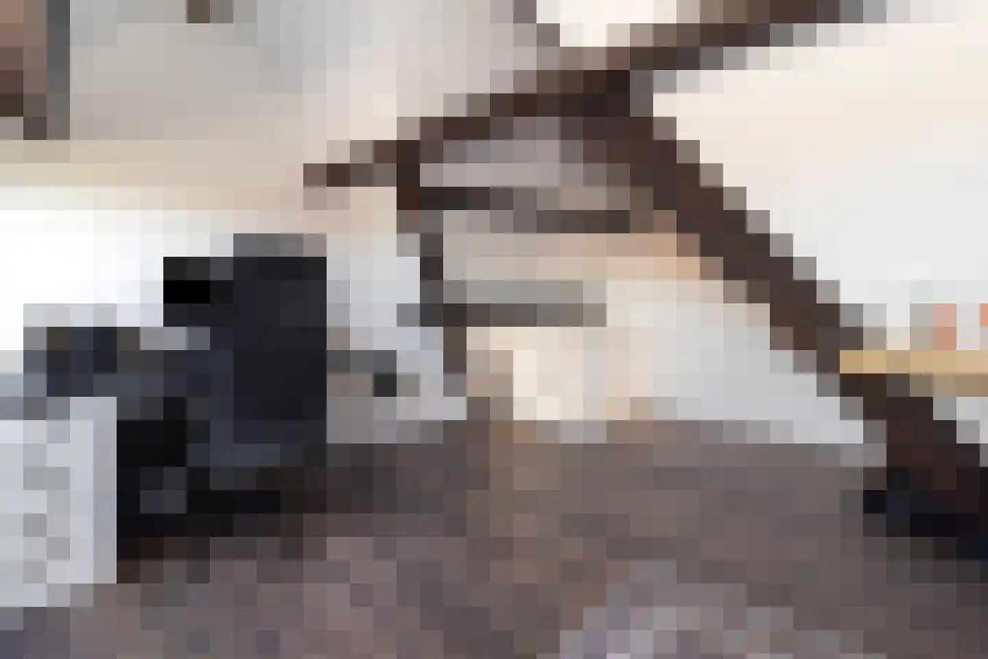 Nachtegaalstraat 52 Geleen thumbnail 28