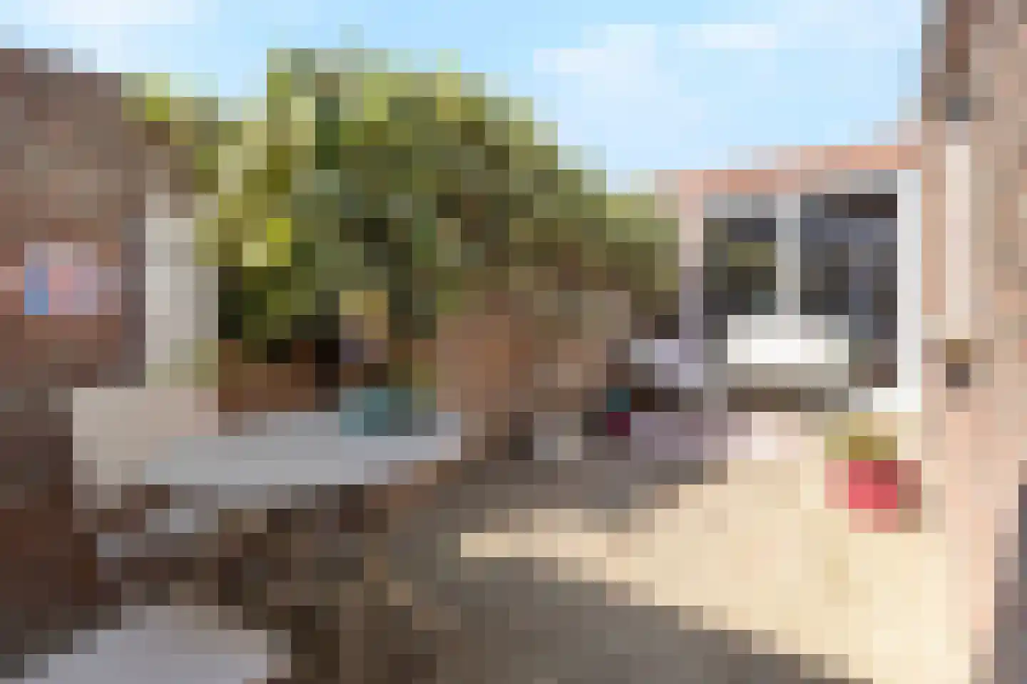 Nachtegaalstraat 52 Geleen thumbnail 30