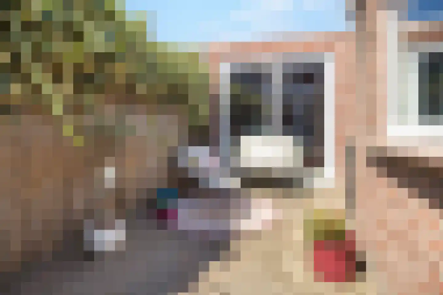 Nachtegaalstraat 52 Geleen thumbnail 31