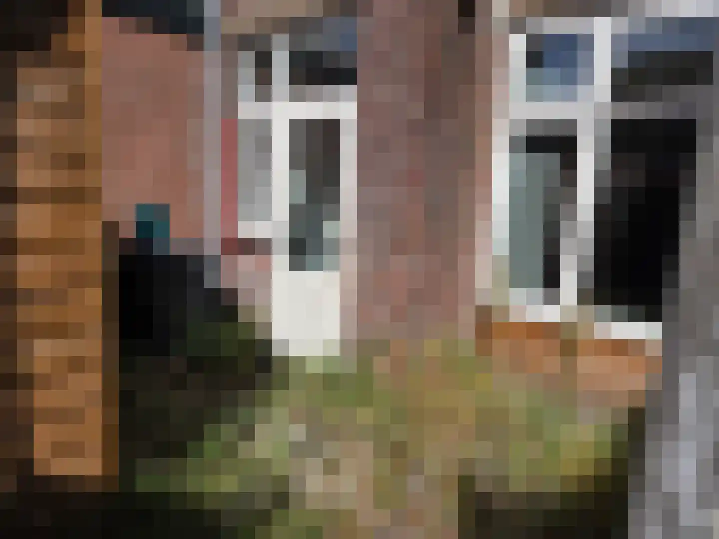 Nachtegaalstraat 54 Haarlem thumbnail 11