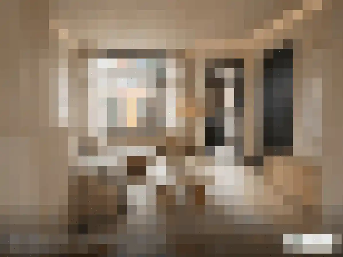 Nachtegaalstraat 54 Haarlem thumbnail 5