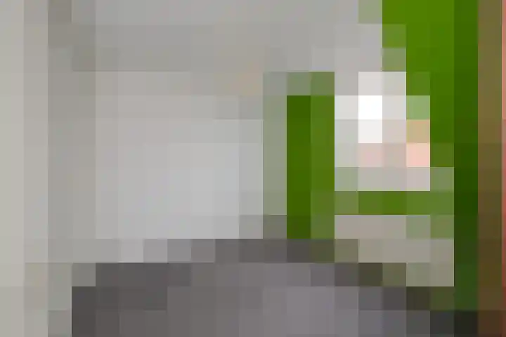Nachtegaalstraat 55 Almelo thumbnail 17