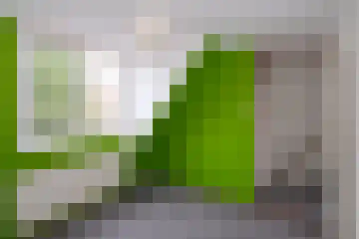 Nachtegaalstraat 55 Almelo thumbnail 18
