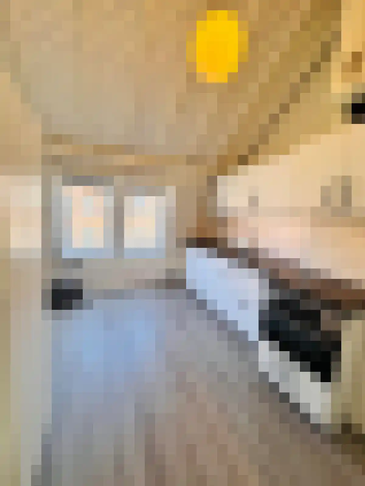 Nachtegaalstraat 57 Utrecht thumbnail 5