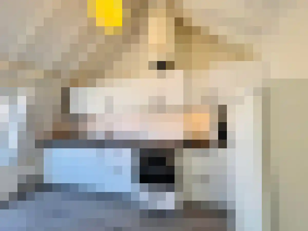 Nachtegaalstraat 57 Utrecht thumbnail 6