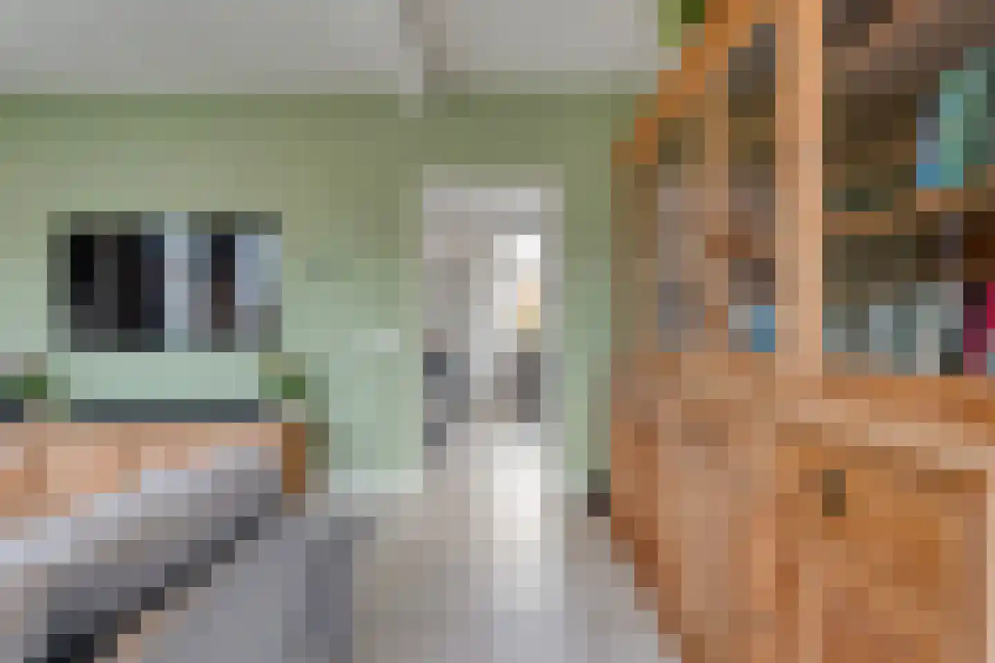 Nachtegaalstraat 6 Dedemsvaart thumbnail 10