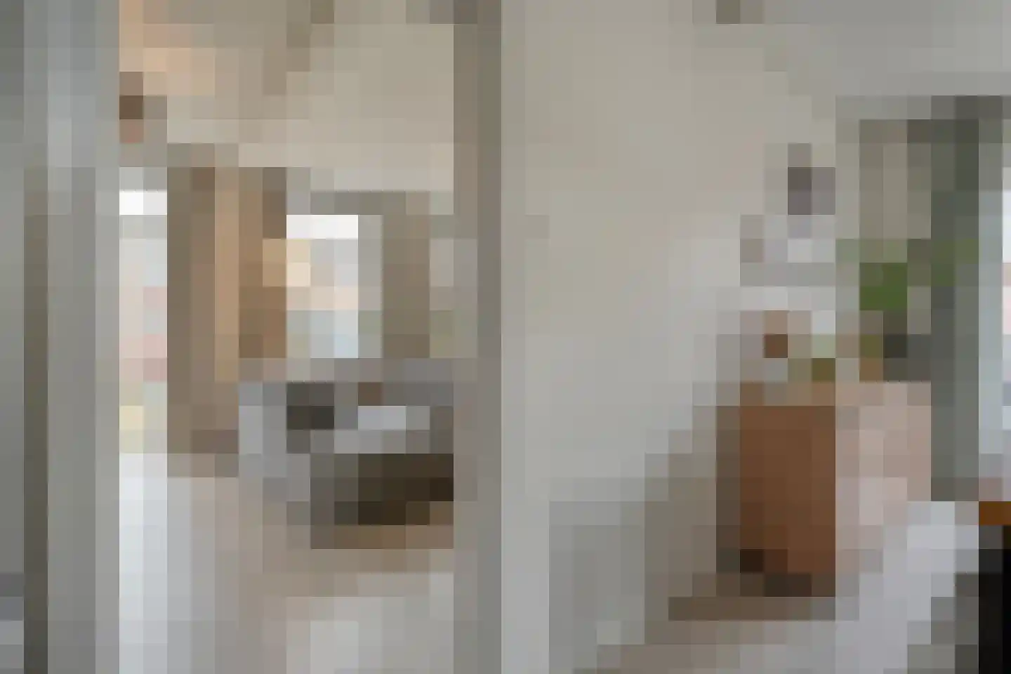Nachtegaalstraat 6 Dedemsvaart thumbnail 11
