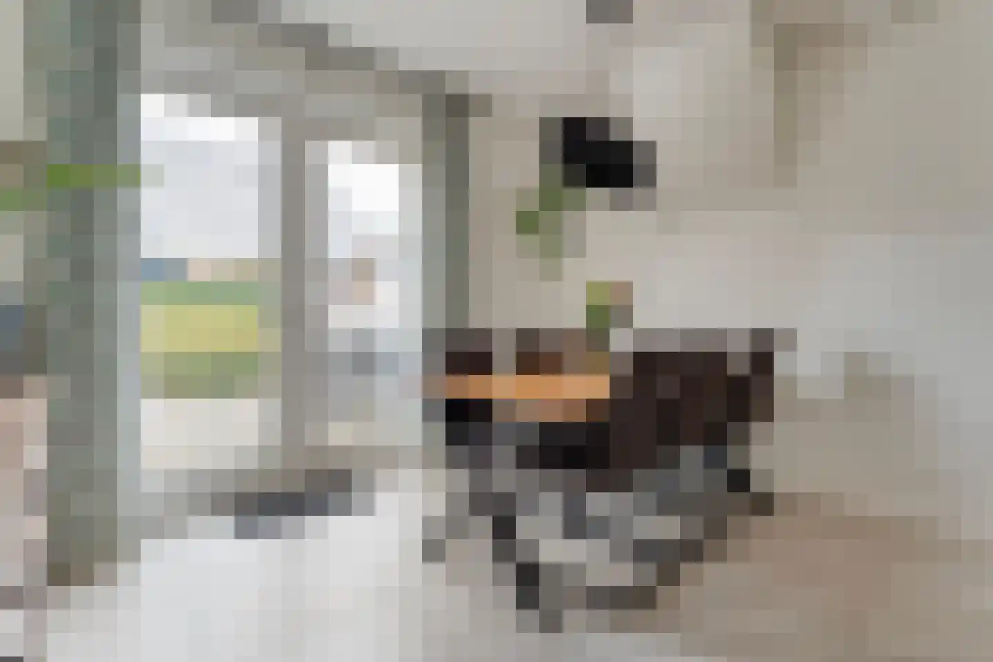 Nachtegaalstraat 6 Dedemsvaart thumbnail 12