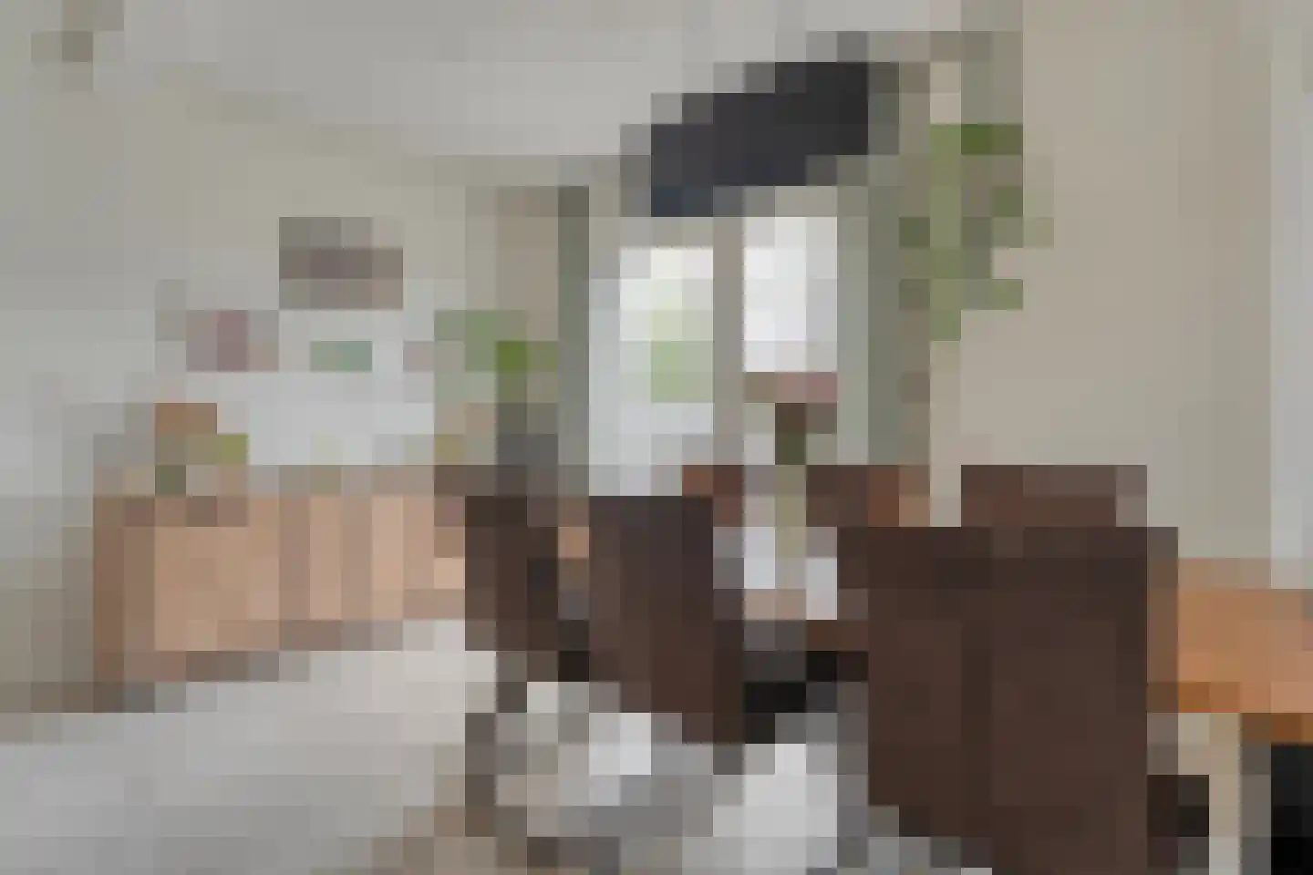 Nachtegaalstraat 6 Dedemsvaart thumbnail 14