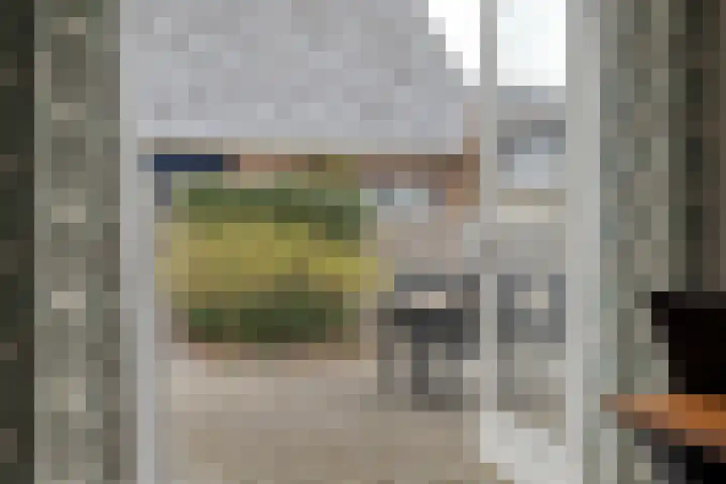 Nachtegaalstraat 6 Dedemsvaart thumbnail 15