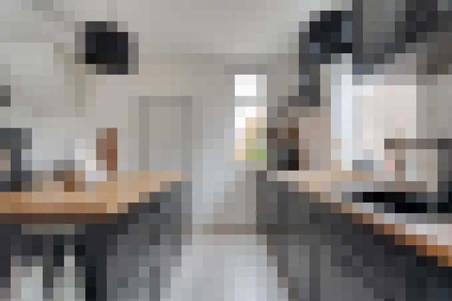 Nachtegaalstraat 6 Dedemsvaart thumbnail 20