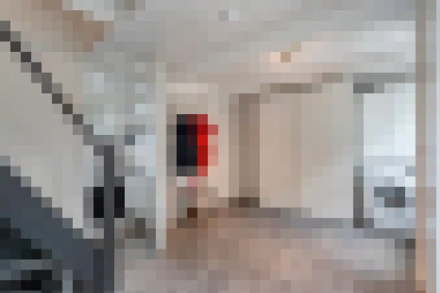Nachtegaalstraat 6 Dedemsvaart thumbnail 21