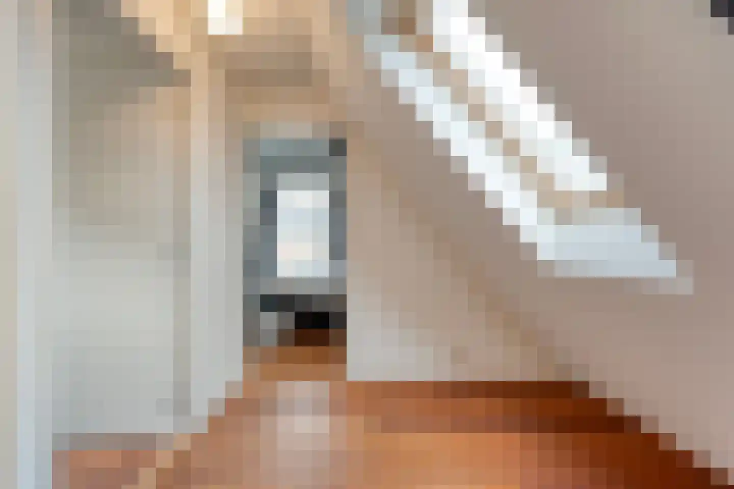 Nachtegaalstraat 6 Dedemsvaart thumbnail 26