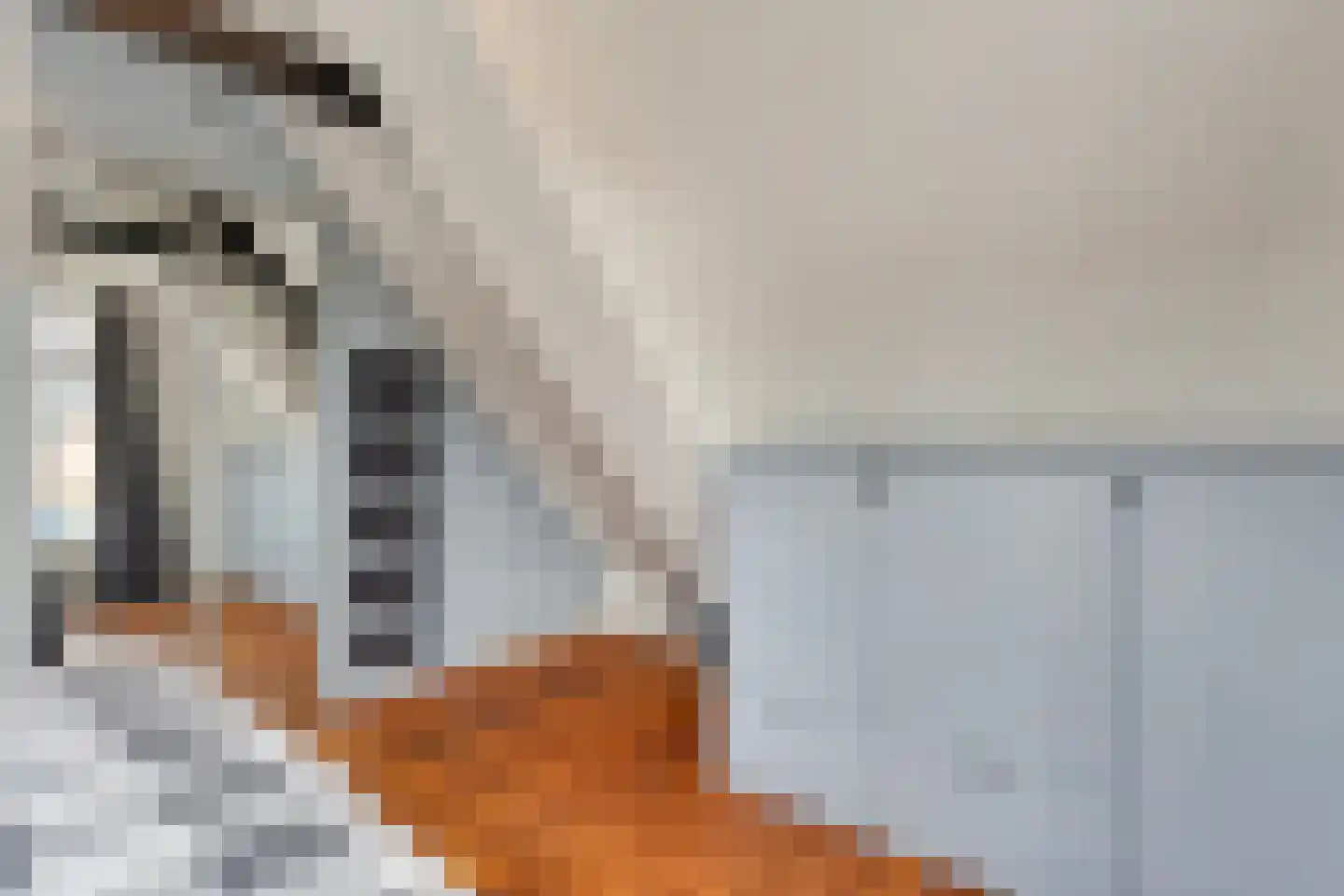 Nachtegaalstraat 6 Dedemsvaart thumbnail 30
