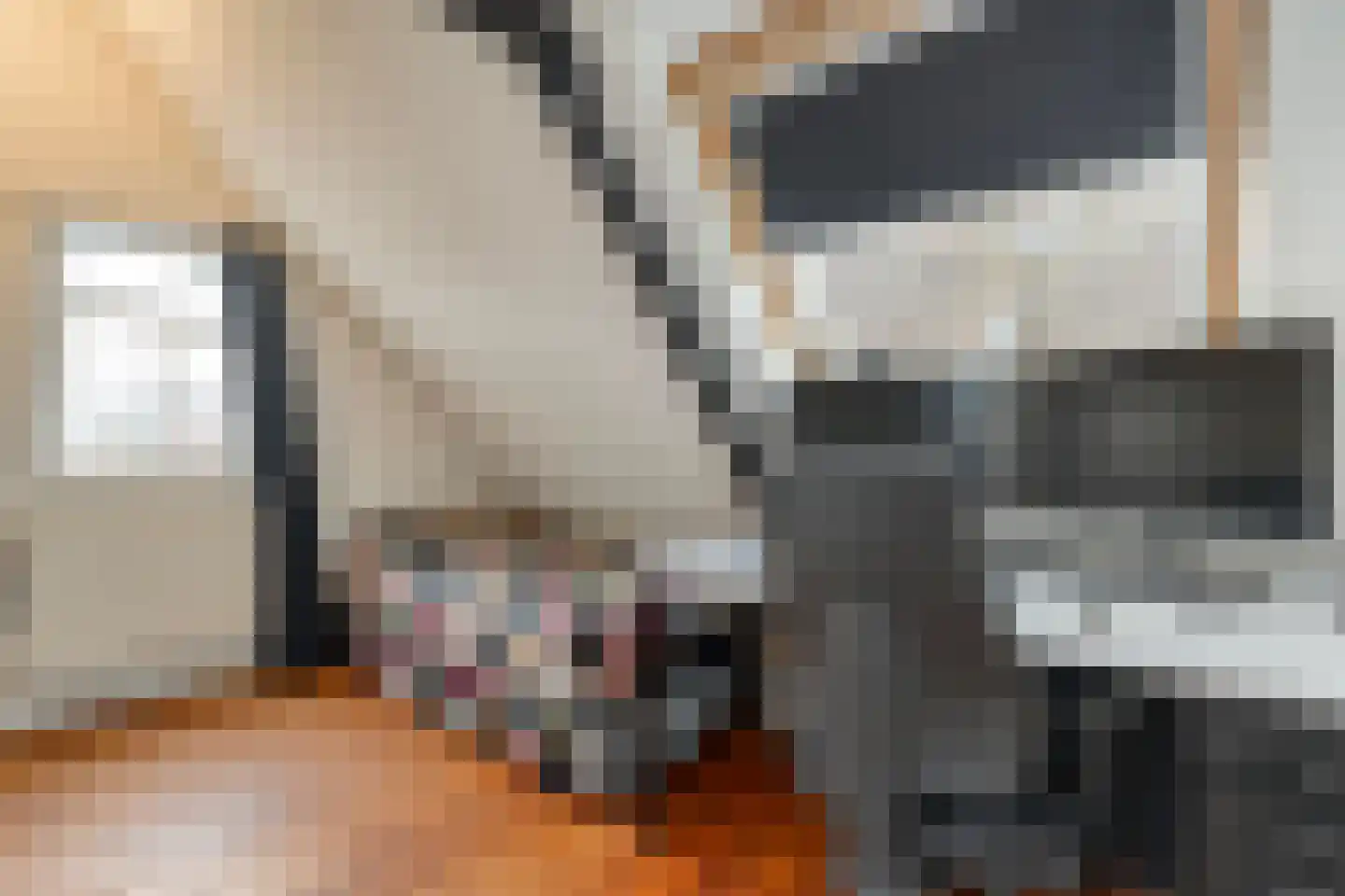 Nachtegaalstraat 6 Dedemsvaart thumbnail 31