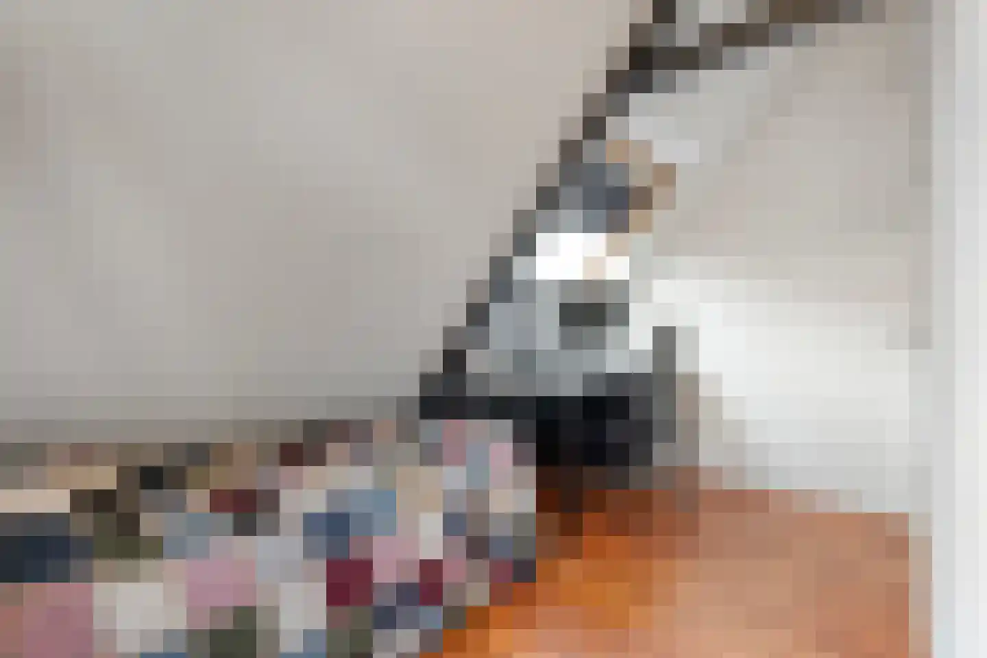 Nachtegaalstraat 6 Dedemsvaart thumbnail 33