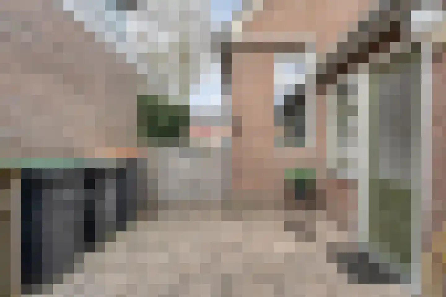 Nachtegaalstraat 6 Dedemsvaart thumbnail 35
