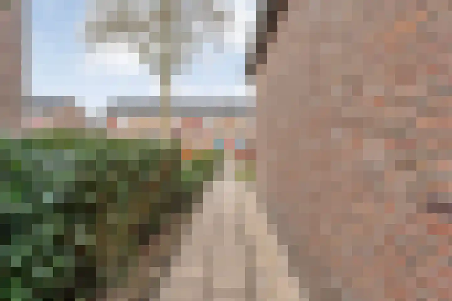 Nachtegaalstraat 6 Dedemsvaart thumbnail 36
