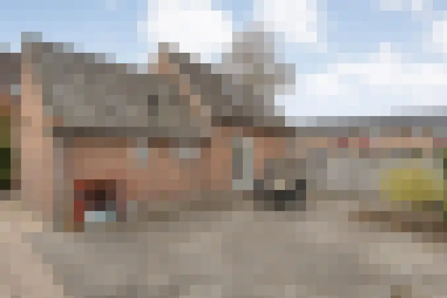 Nachtegaalstraat 6 Dedemsvaart thumbnail 40