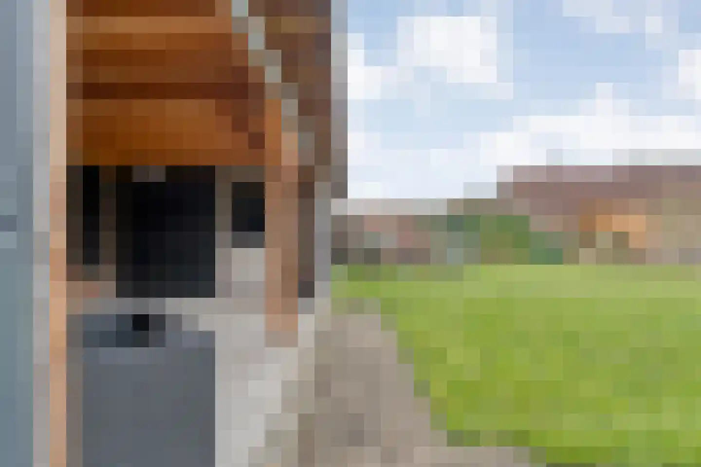 Nachtegaalstraat 6 Dedemsvaart thumbnail 45
