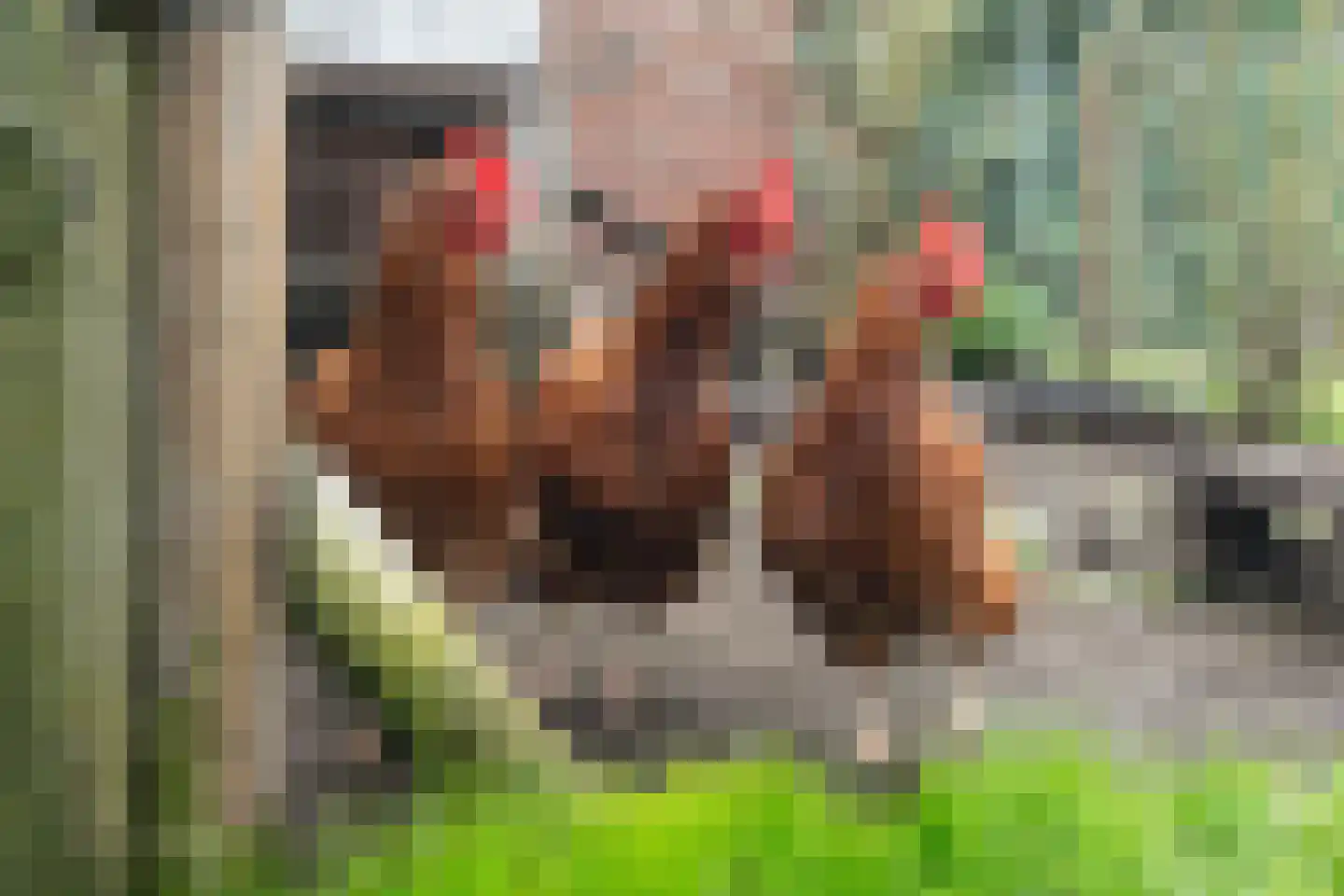 Nachtegaalstraat 6 Dedemsvaart thumbnail 46