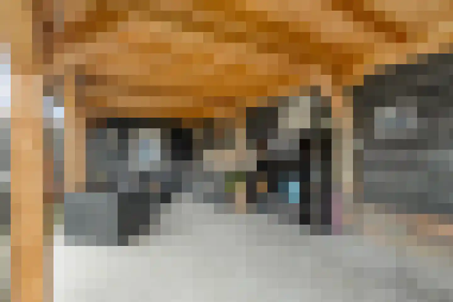 Nachtegaalstraat 6 Dedemsvaart thumbnail 47