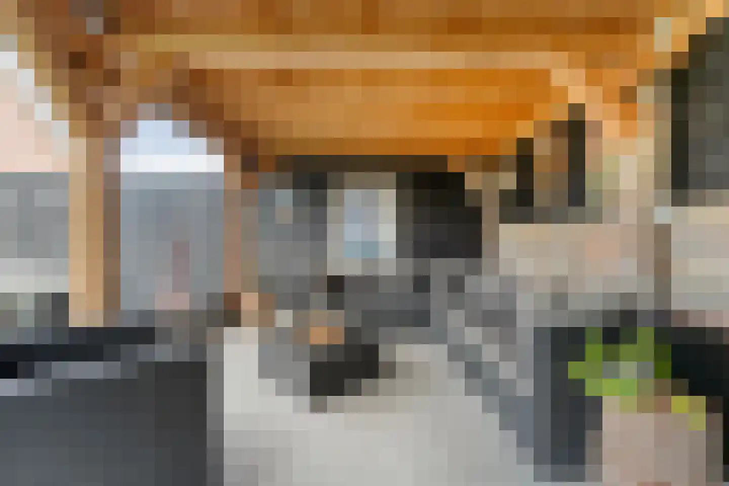 Nachtegaalstraat 6 Dedemsvaart thumbnail 48