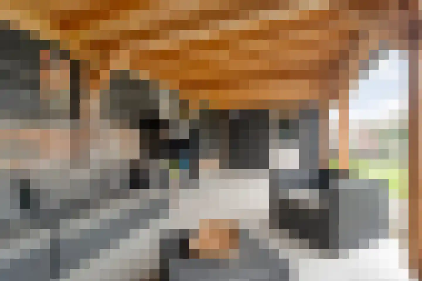 Nachtegaalstraat 6 Dedemsvaart thumbnail 49