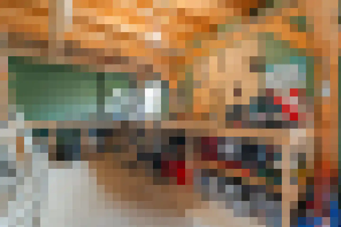 Nachtegaalstraat 6 Dedemsvaart thumbnail 51