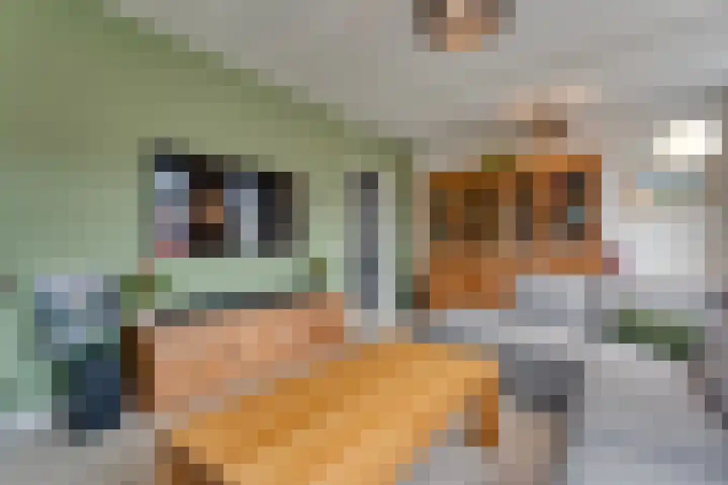 Nachtegaalstraat 6 Dedemsvaart thumbnail 9