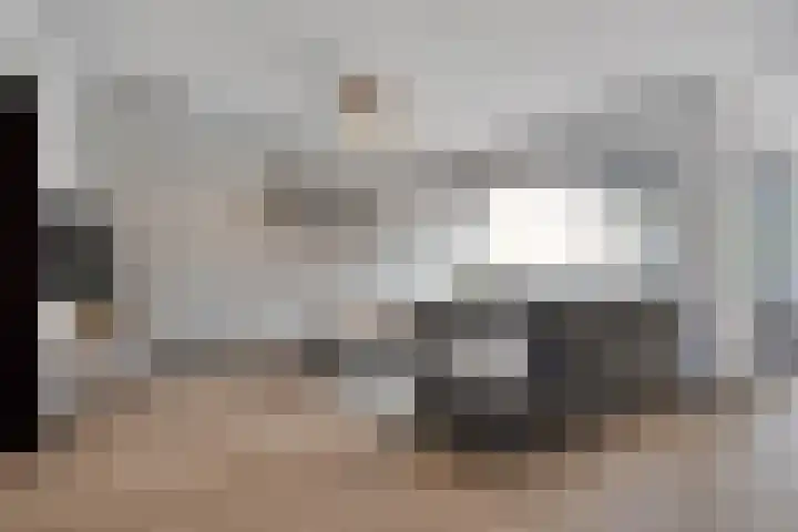 Nachtegaalstraat 6 Mill thumbnail 12