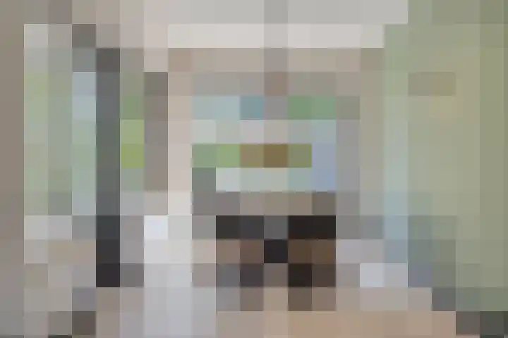 Nachtegaalstraat 6 Mill thumbnail 13