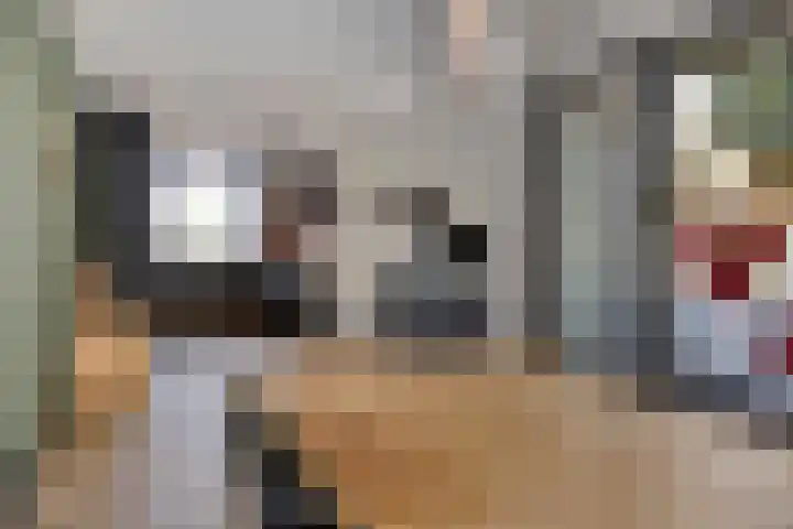 Nachtegaalstraat 6 Mill thumbnail 15