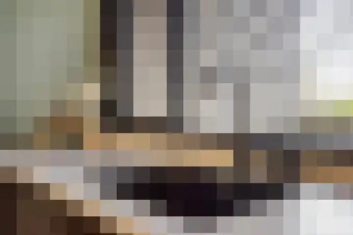 Nachtegaalstraat 6 Mill thumbnail 18