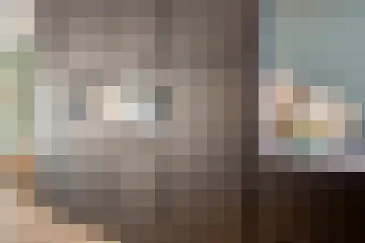 Nachtegaalstraat 6 Mill thumbnail 19
