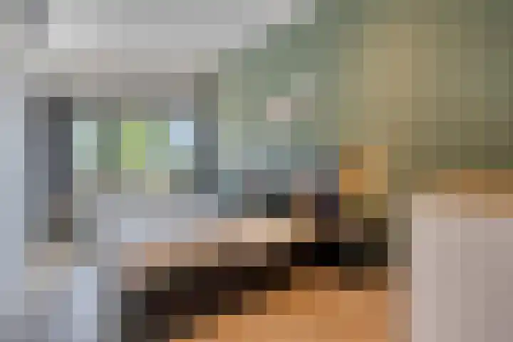 Nachtegaalstraat 6 Mill thumbnail 20