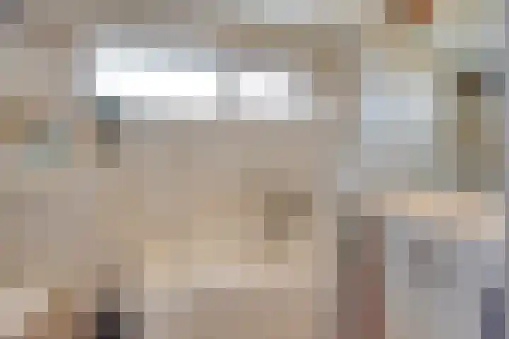 Nachtegaalstraat 6 Mill thumbnail 22