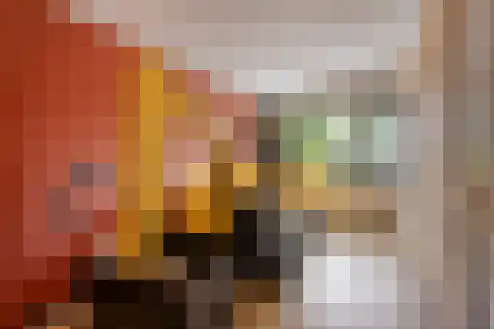 Nachtegaalstraat 6 Mill thumbnail 24