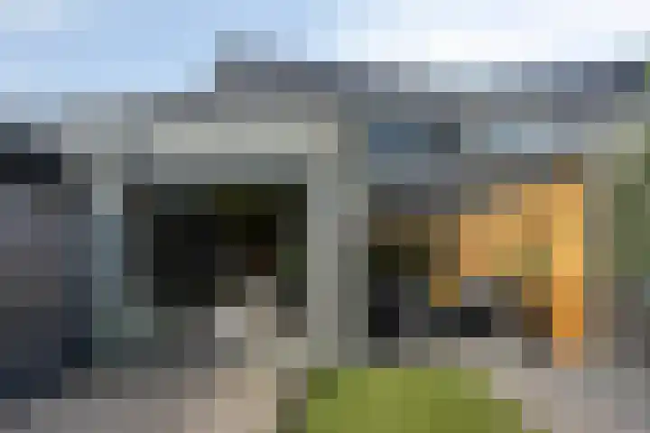 Nachtegaalstraat 6 Mill thumbnail 26