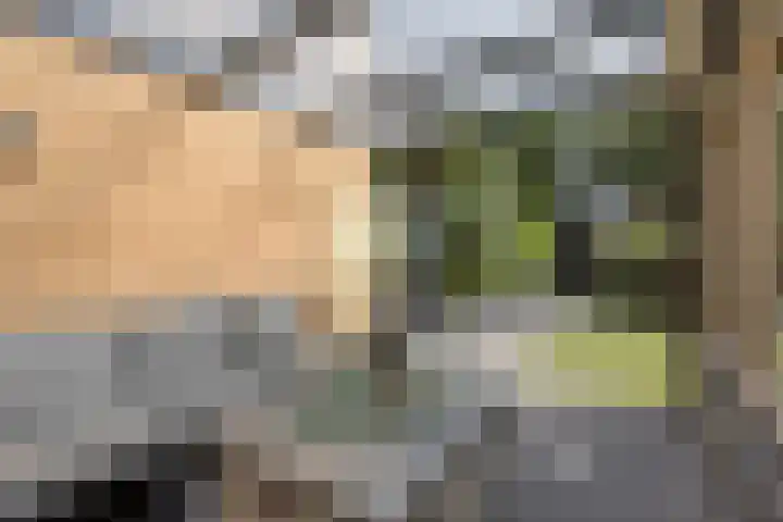Nachtegaalstraat 6 Mill thumbnail 27