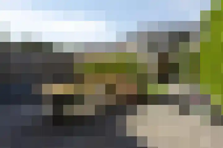 Nachtegaalstraat 6 Mill thumbnail 29