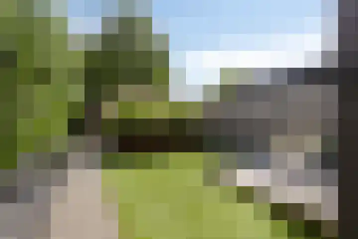 Nachtegaalstraat 6 Mill thumbnail 30