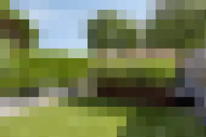 Nachtegaalstraat 6 Mill thumbnail 31
