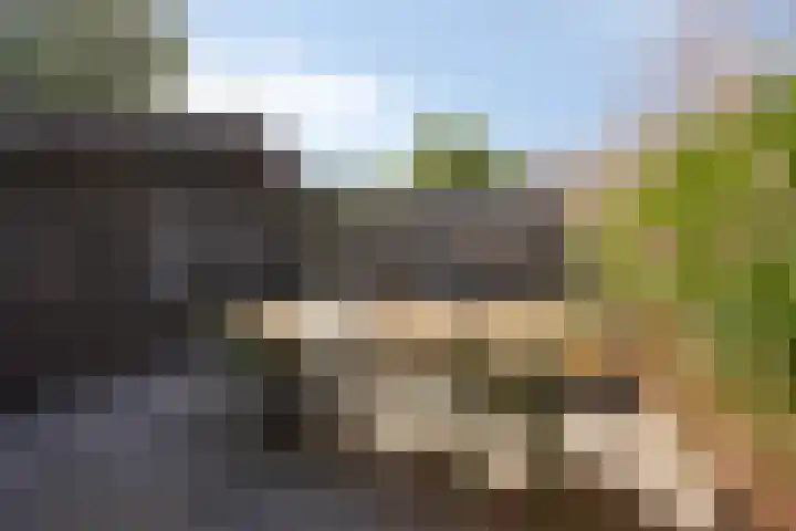 Nachtegaalstraat 6 Mill thumbnail 32