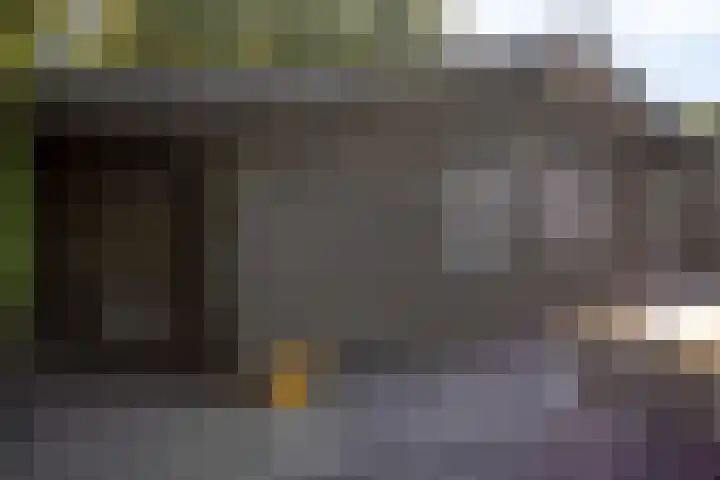 Nachtegaalstraat 6 Mill thumbnail 33