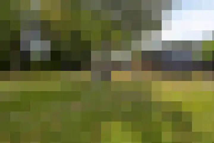 Nachtegaalstraat 6 Mill thumbnail 35