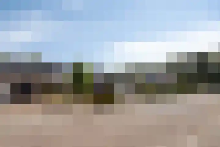 Nachtegaalstraat 6 Mill thumbnail 5