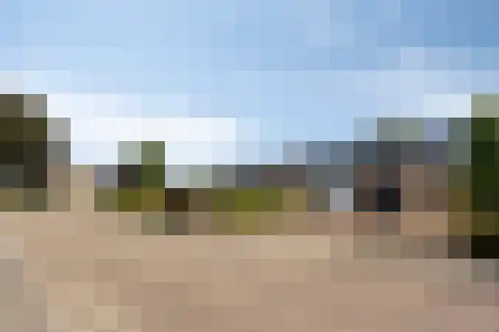 Nachtegaalstraat 6 Mill thumbnail 6